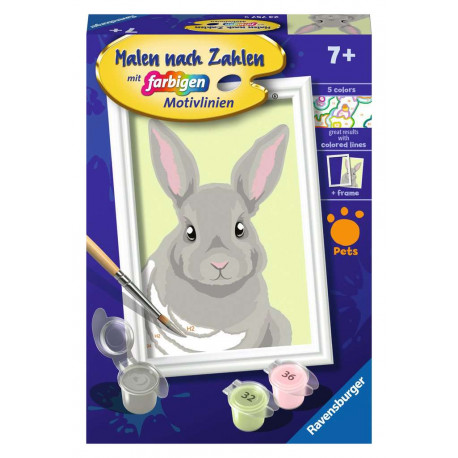 Niedliches Kaninchen      D