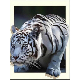 weißer Tiger (Design 25x35)  30x40 cm