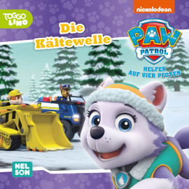 Maxi-Mini 171: PAW Patrol: Die Kältewelle