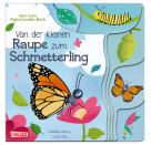 Von der kleinen Raupe zum Schmetterling