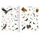 Naturforscher-Kids – Stickerheft Vögel