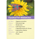 Naturforscher-Kids – Insekten