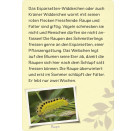 Naturforscher-Kids – Insekten