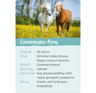 Naturforscher-Kids – Pferde & Ponys