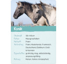 Naturforscher-Kids – Pferde & Ponys