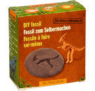 Fossil z. Selbermachen Dino-Skelett - T-Rex World, sortiert (1 Stück)