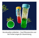 Fun Science Aqua-Gel Pflanzen