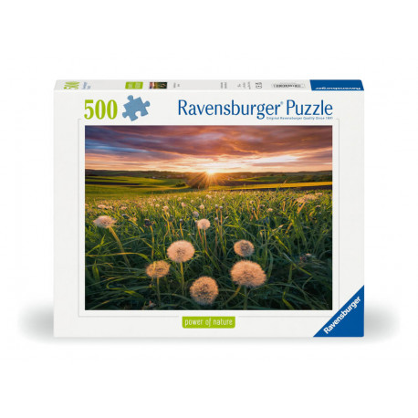 Ravensburger 12000592 Puzzle Pusteblumen im Sonnenuntergang 500 Teile