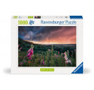 Ravensburger 12000793 Puzzle Ein Sturm zieht auf 1000 Teile