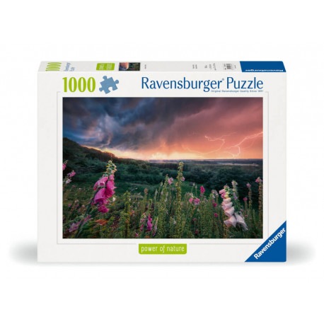 Ravensburger 12000793 Puzzle Ein Sturm zieht auf 1000 Teile