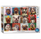 Eurographics Lustige Hunde von Lucia Heffernan