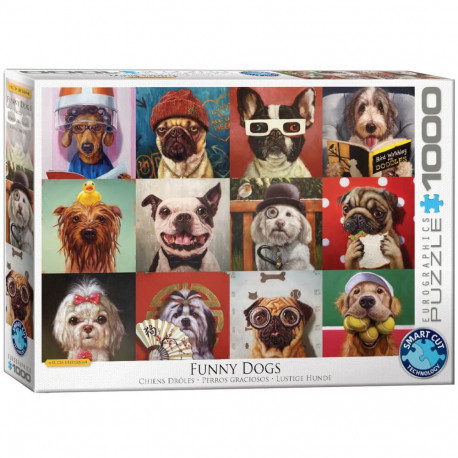 Eurographics Lustige Hunde von Lucia Heffernan