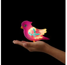 LITTLE LIVE PETS Lil Bird & Vogelkäfig - Tiara Twinkles