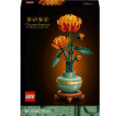 LEGO® Icons 10368 Botanical Confi1 Aug