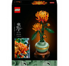 LEGO® Icons 10368 Botanical Confi1 Aug