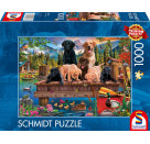 PU1000T.Hundefamilie am See