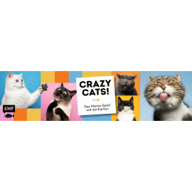 Memo-Spiel: Crazy cats!