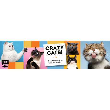 Memo-Spiel: Crazy cats!