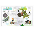 Expedition Natur Rätseln, Stickern, Bestimmen - Bäume