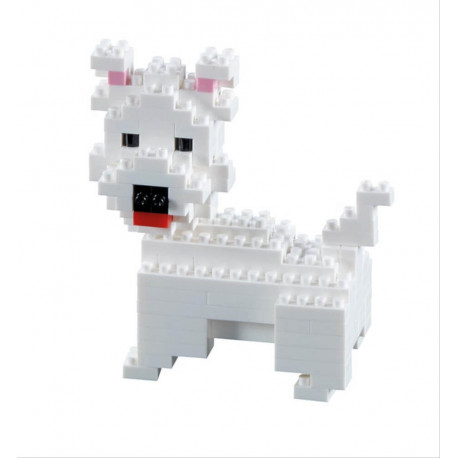 200.112 BRIXIES Hund