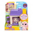 Little Live Pets Mama Surprise Mini Spielset Hase