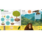 Mein erstes Grundschul-Lexikon