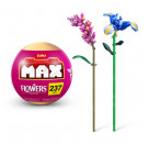 MAX - Flowers, sortiert