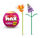 MAX - Flowers, sortiert