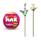 MAX - Flowers, sortiert