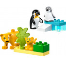 LEGO® DUPLO 10442 Wildtier-Familien: Pinguine und Löwen