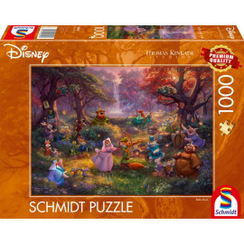 PU1000T.Disney, Robin Hood