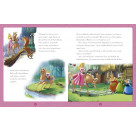 Disney Silver-Edition: Das große Buch mit den besten Geschichten - Disney Prinzessinnen
