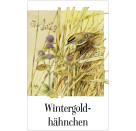 Schachtelspiel: Zauberhaftes Vogel-Memo - M. Bastin