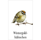 Schachtelspiel: Zauberhaftes Vogel-Memo - M. Bastin