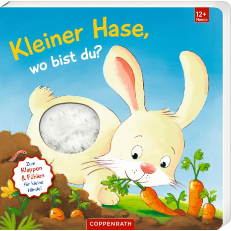 Mein 1. Guckloch-Fühlbuch: Kl. Hase, wo bist du? (Fühlen&b.)