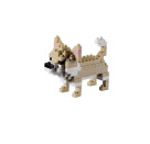 200.175 BRIXIES Chihuahua
