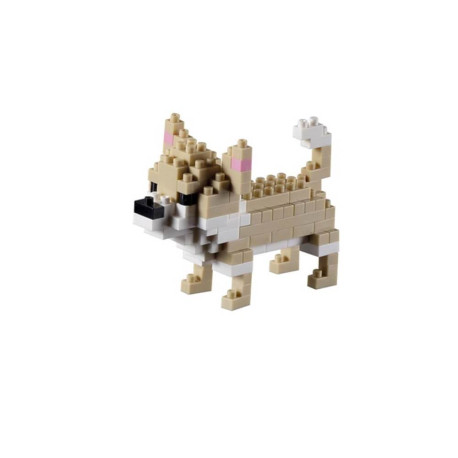 200.175 BRIXIES Chihuahua