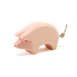SCHWEIN, RÜCKEN tief