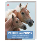 Pferde und Ponys