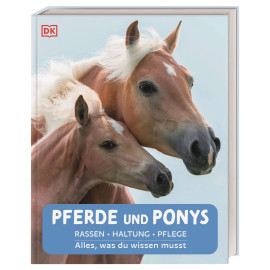Pferde und Ponys