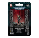OFFICIO ASSASSINORUM CULEXUS ASSASSIN