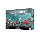 AELDARI: GARDISTEN