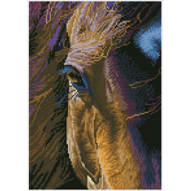 DD Star  29,5x41,5