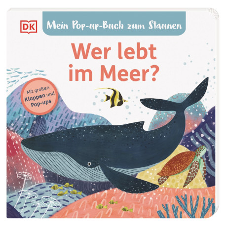 Mein Pop-up-Buch zum Staunen.