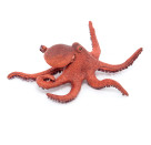 Kleiner Oktopus