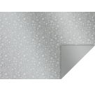 Karton 50x70cm 300g Kristall silber
