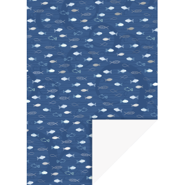 KtnA4 Fisch blau