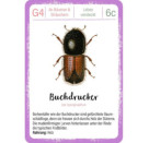 Expedition Natur Quartett Minimonster