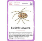 Expedition Natur Quartett Minimonster