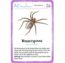 Expedition Natur Quartett Minimonster